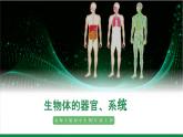2.3.3生物体的器官、系统（课件+教案）北师大版 七上
