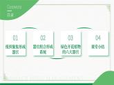 2.3.3生物体的器官、系统（课件+教案）北师大版 七上