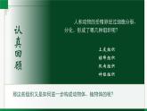 2.3.3生物体的器官、系统（课件+教案）北师大版 七上