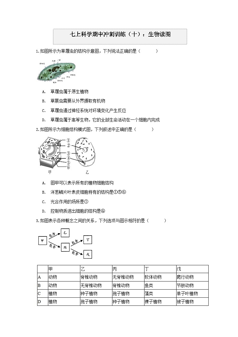 “期中冲刺”核心考点训练（十）：生物读图  浙教版科学七年级上册01