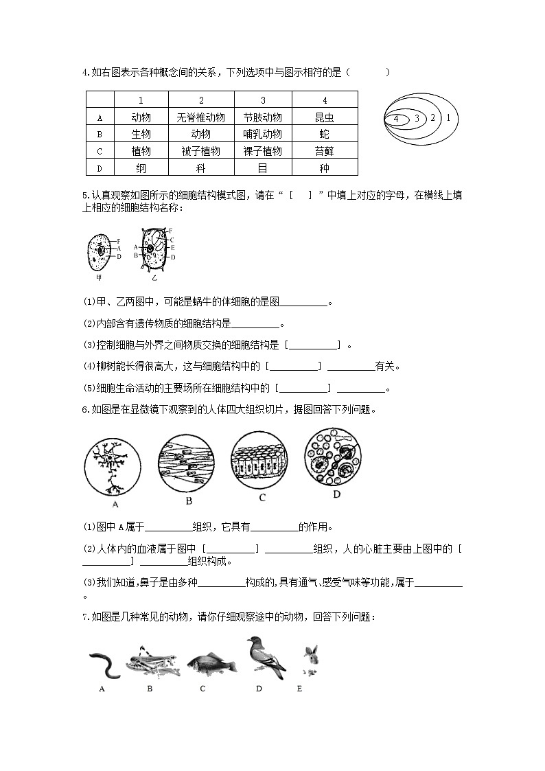 “期中冲刺”核心考点训练（十）：生物读图  浙教版科学七年级上册02