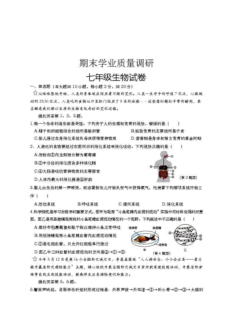 湖北省孝感市孝昌县2023-2024学年七年级下学期期末学业质量调研生物试卷第1页