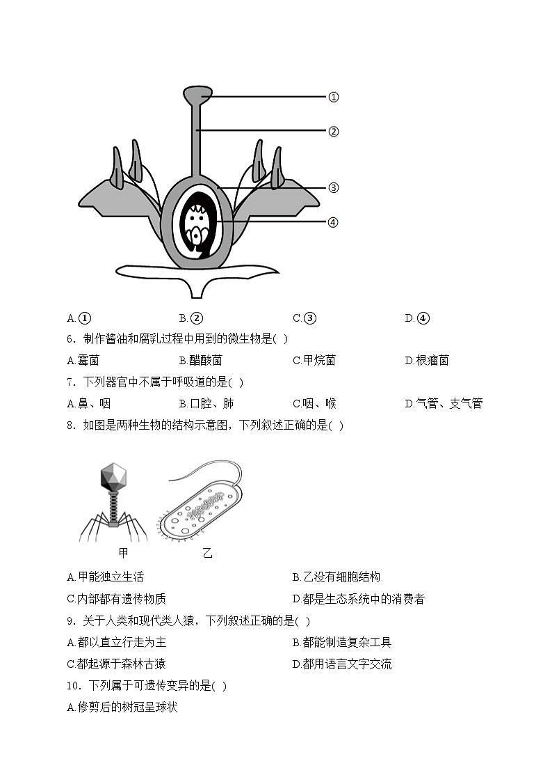 吉林省2024届中考生物试卷(含答案)02