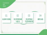 3.4.1光合作用第3课时（课件+教案）北师大版 七上