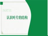 3.4.1光合作用第3课时（课件+教案）北师大版 七上