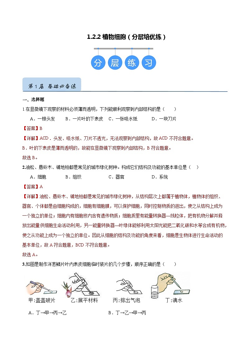 【人教版】七上生物  1.2.2 植物细胞（课件+练习）01