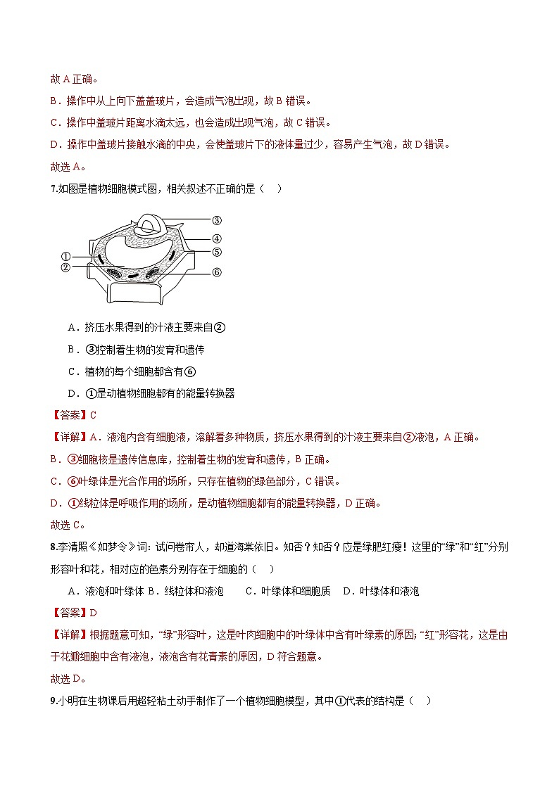 【人教版】七上生物  1.2.2 植物细胞（课件+练习）03