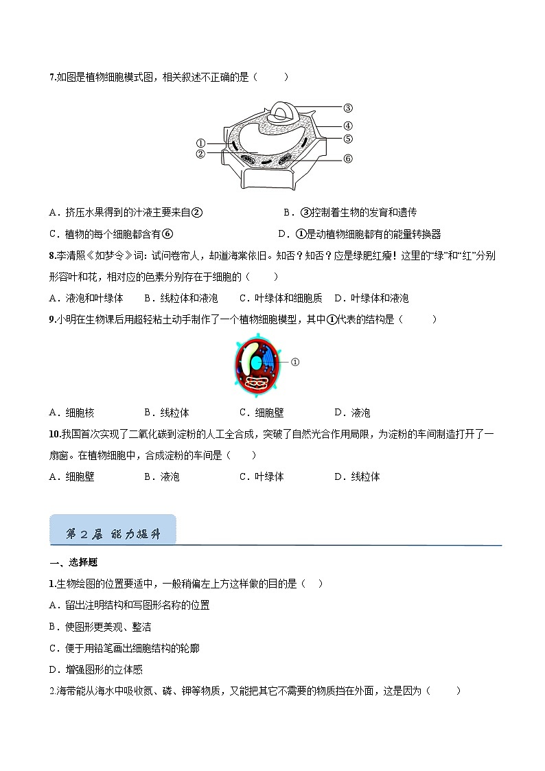 【人教版】七上生物  1.2.2 植物细胞（课件+练习）02