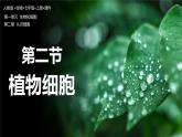 【人教版】七上生物  1.2.2 植物细胞（课件+练习）