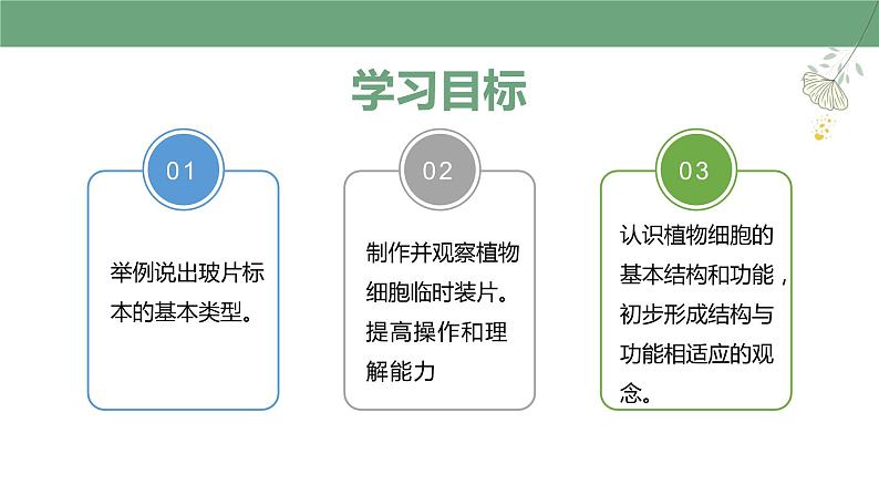 【人教版】七上生物  1.2.2 植物细胞（课件+练习）02