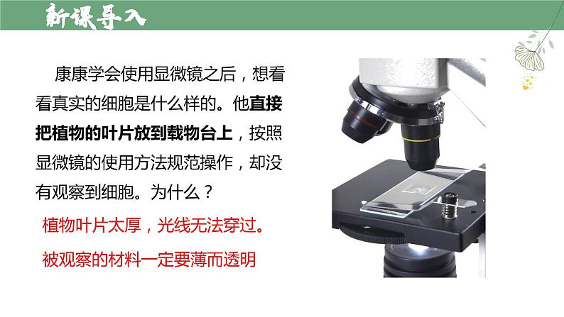 【人教版】七上生物  1.2.2 植物细胞（课件+练习）04