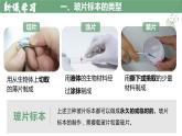 【人教版】七上生物  1.2.2 植物细胞（课件+练习）