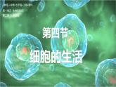 【人教版】七上生物  1.2.4 细胞的生活（课件+练习）
