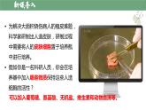 【人教版】七上生物  1.2.4 细胞的生活（课件+练习）