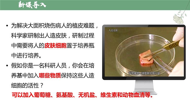 【人教版】七上生物  1.2.4 细胞的生活（课件+练习）05