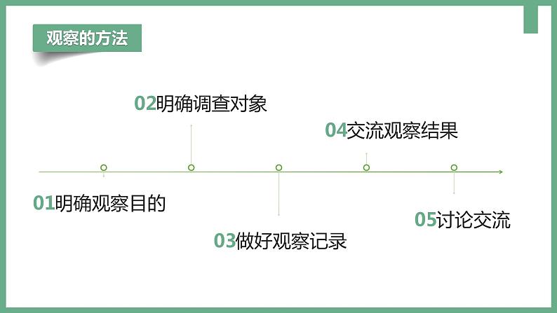 【人教版】七上生物  1.1.1 观察周边环境中的生物（课件+练习）06