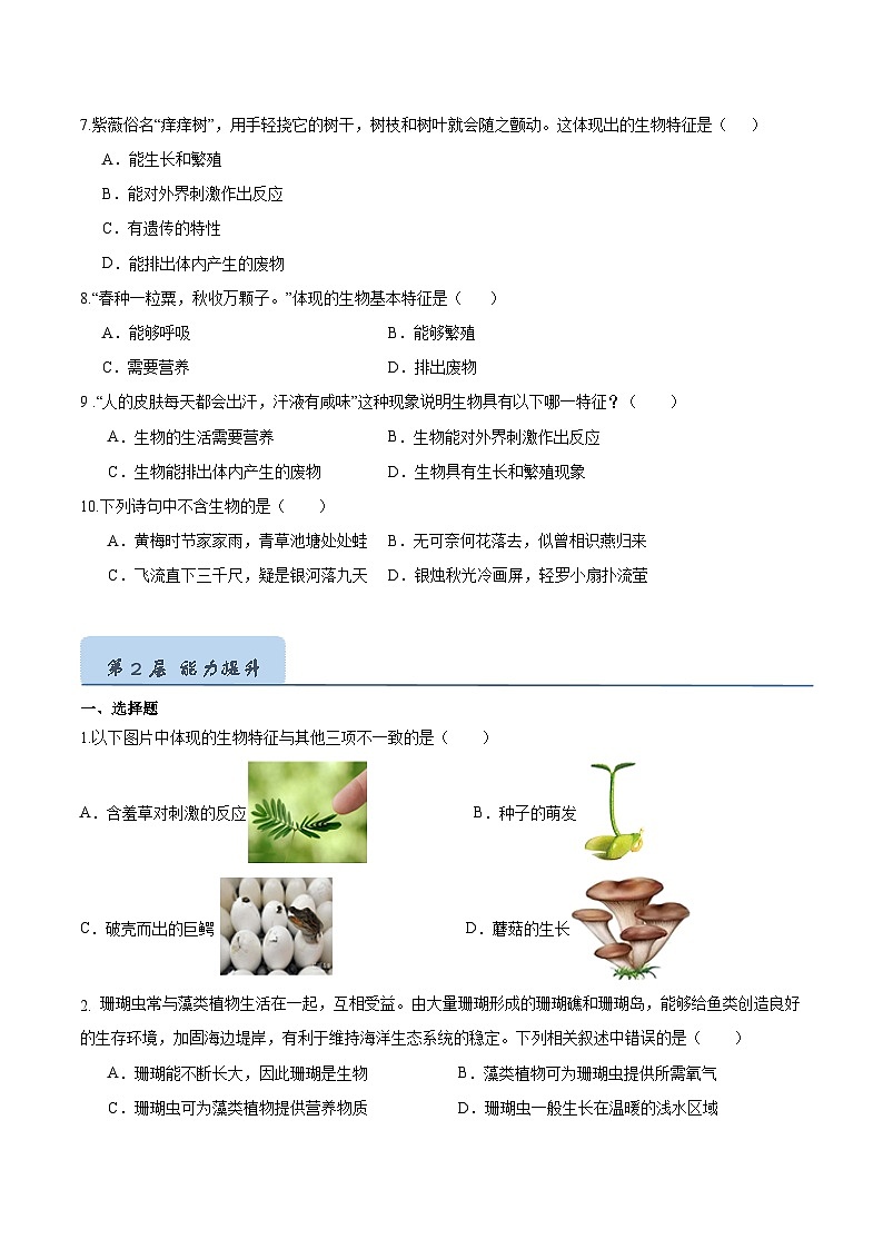 【人教版】七上生物  1.1.2 生物的特征（课件+练习）02