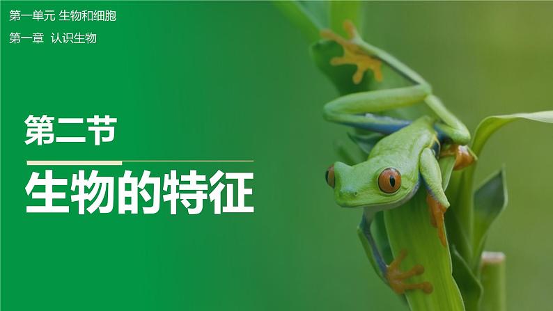 【人教版】七上生物  1.1.2 生物的特征（课件+练习）01