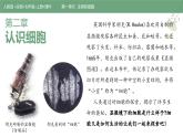 【人教版】七上生物  1.2.1 学习使用显微镜（课件+练习）