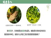 【人教版】七上生物  1.2.1 学习使用显微镜（课件+练习）