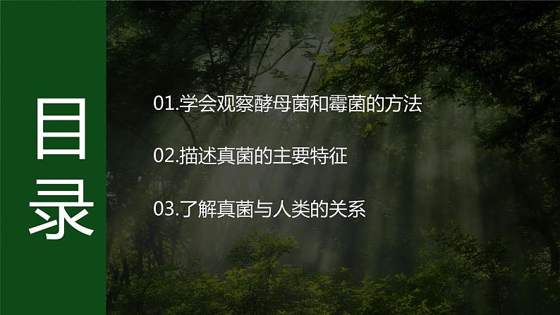 济南版 初中生物七年级上册2.3.3真菌是真核生物课件+视频03