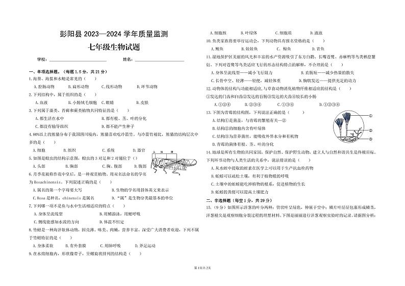宁夏固原市彭阳县2023-2024学年七年级下学期期末质量监测生物试题01