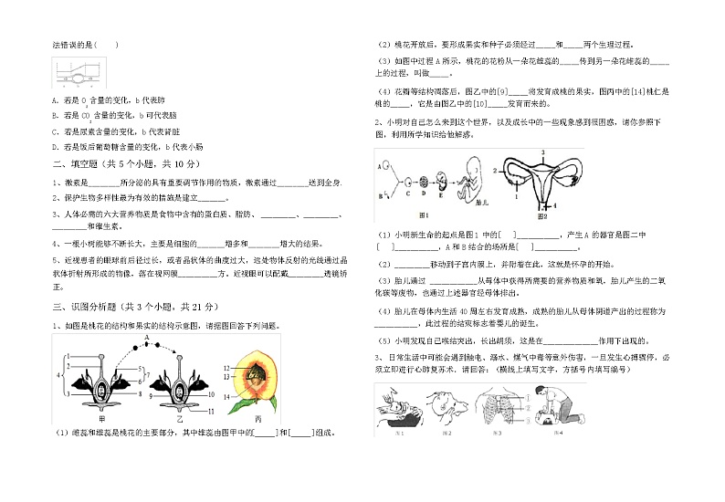 2024年春广东广州市新人教版七年级下册《生物》期中考试卷(加答案)03