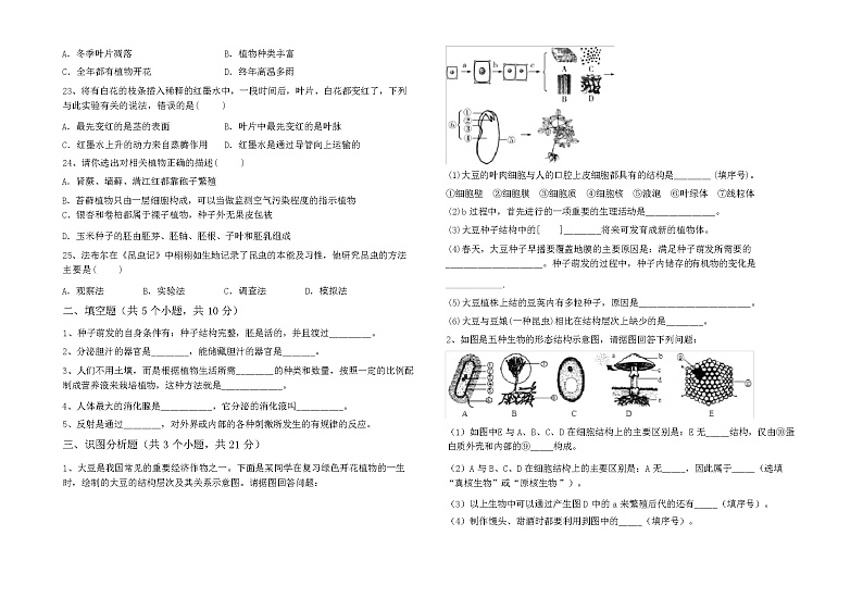 2024年春苏教版七年级生物下册期中考试卷及参考答案第3页