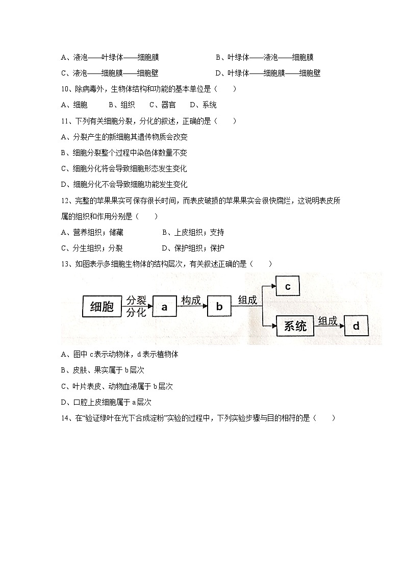 [生物][期末]四川省成都市新都区2023-2024学年七年级上学期期末测试试题03
