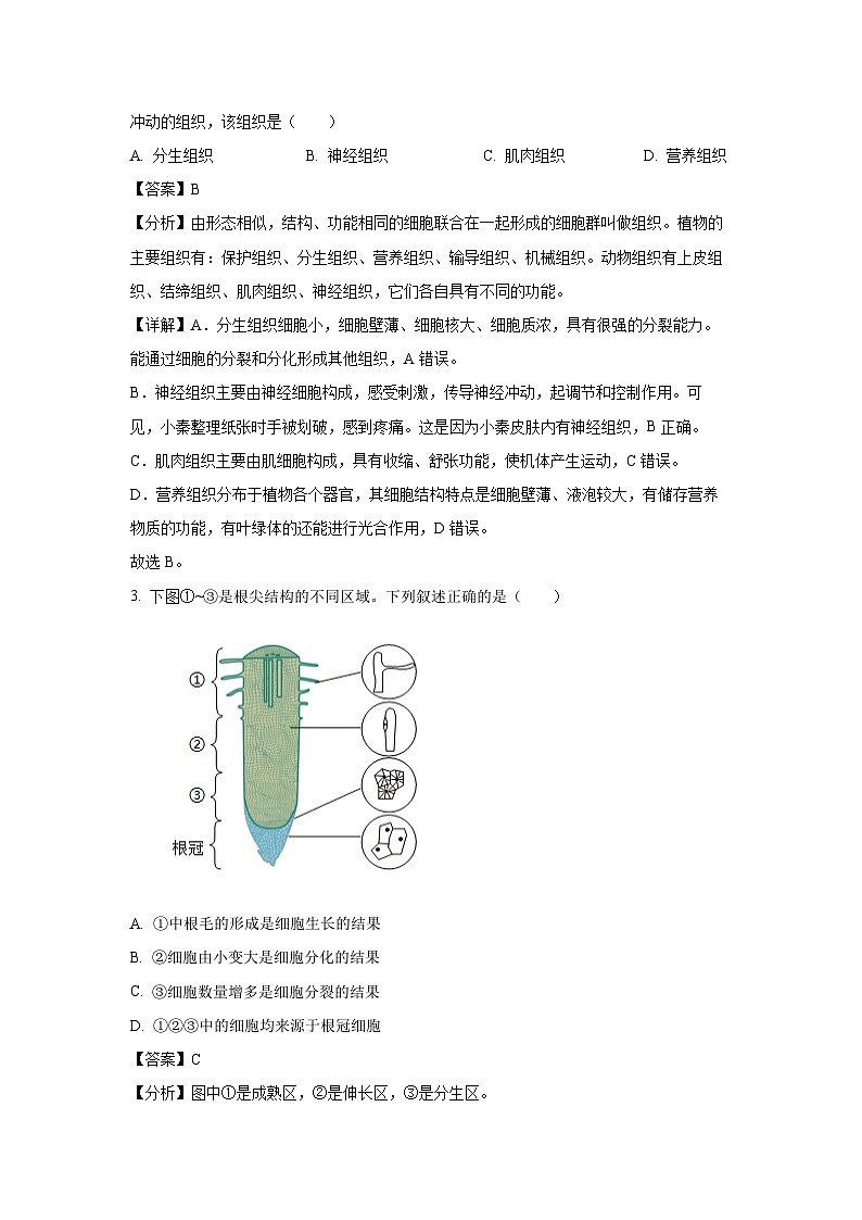 [生物]2024年陕西省中考真题(A卷)(解析版)02