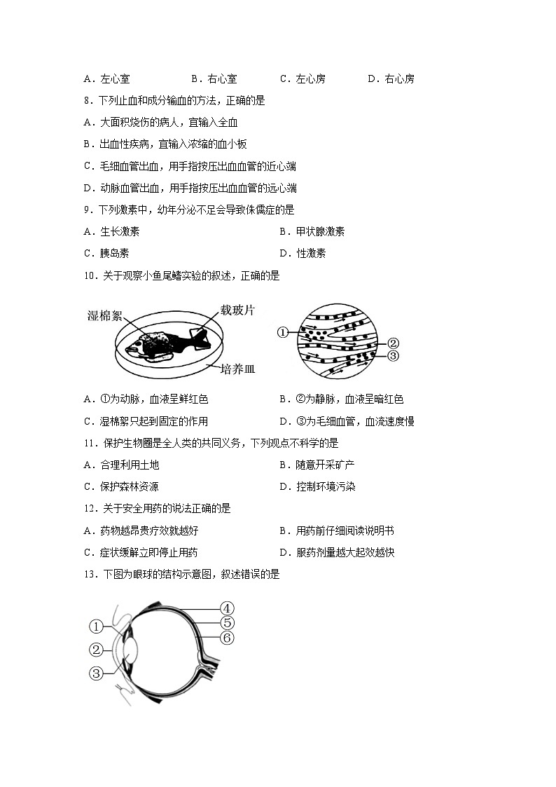 [生物][期末]福建省南平市2023-2024学年七年级下学期期末考试试题02