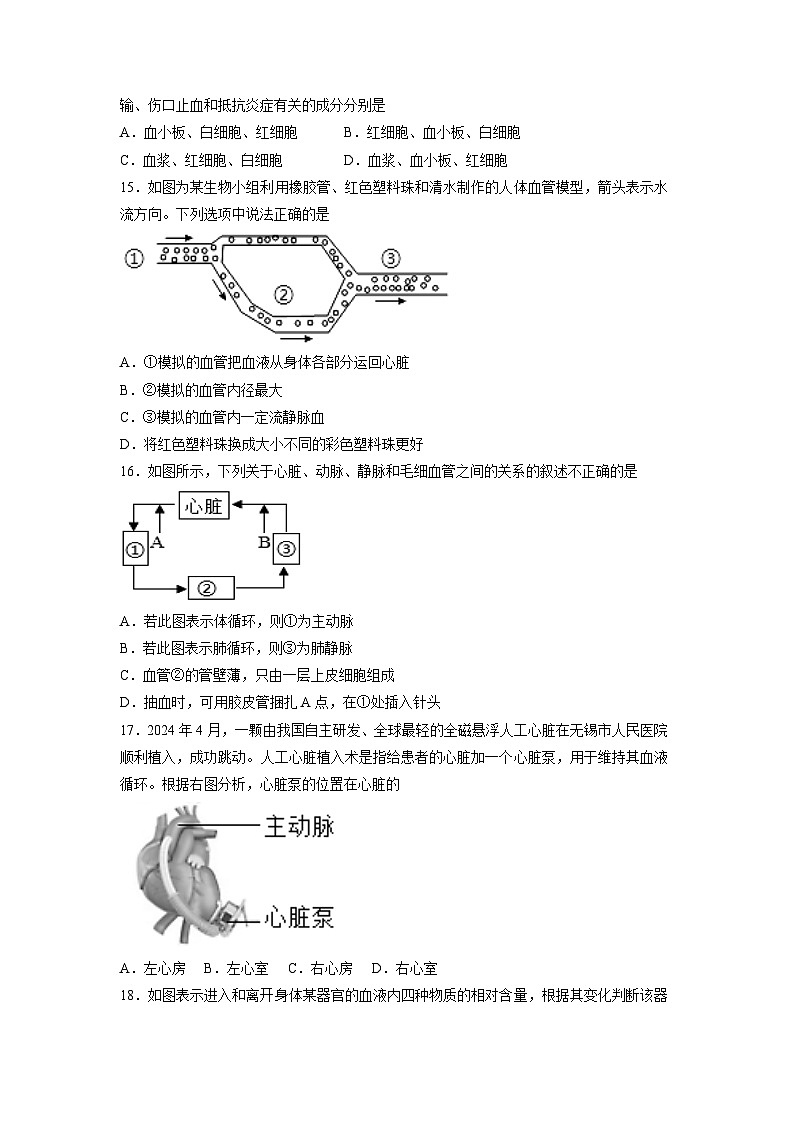 [生物][期末]湖南省岳阳市岳阳楼区2023-2024学年七年级下学期期末考试试题第3页