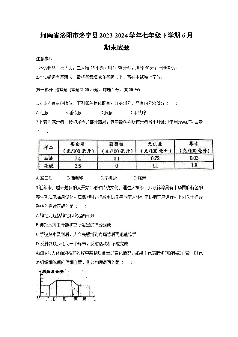 [生物][期末]河南省洛阳市洛宁县2023-2024学年七年级下学期6月期末试题01
