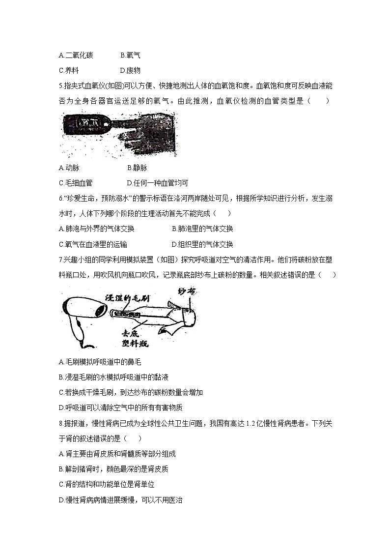 [生物][期末]河南省洛阳市洛宁县2023-2024学年七年级下学期6月期末试题02