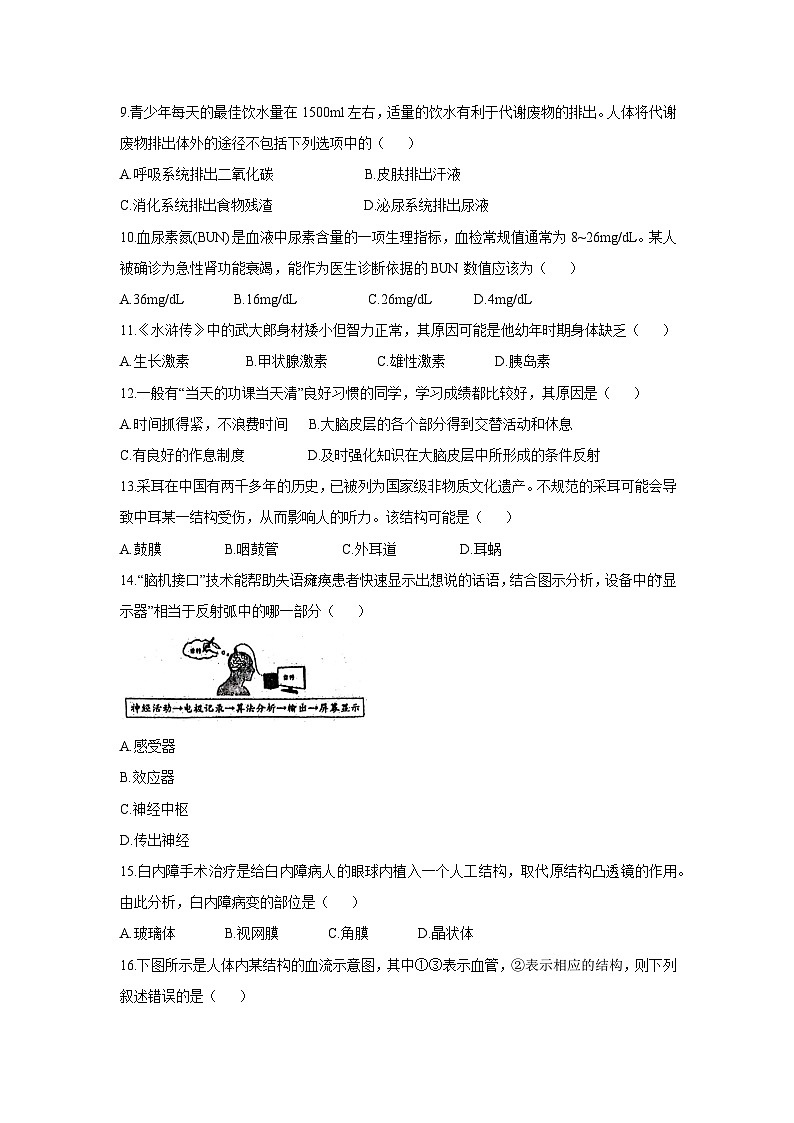 [生物][期末]河南省洛阳市洛宁县2023-2024学年七年级下学期6月期末试题03