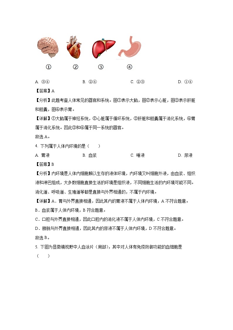 [生物]2024年上海市中考真题试题(解析版)02