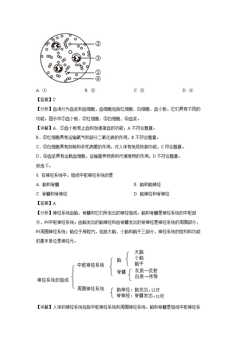 [生物]2024年上海市中考真题试题(解析版)03
