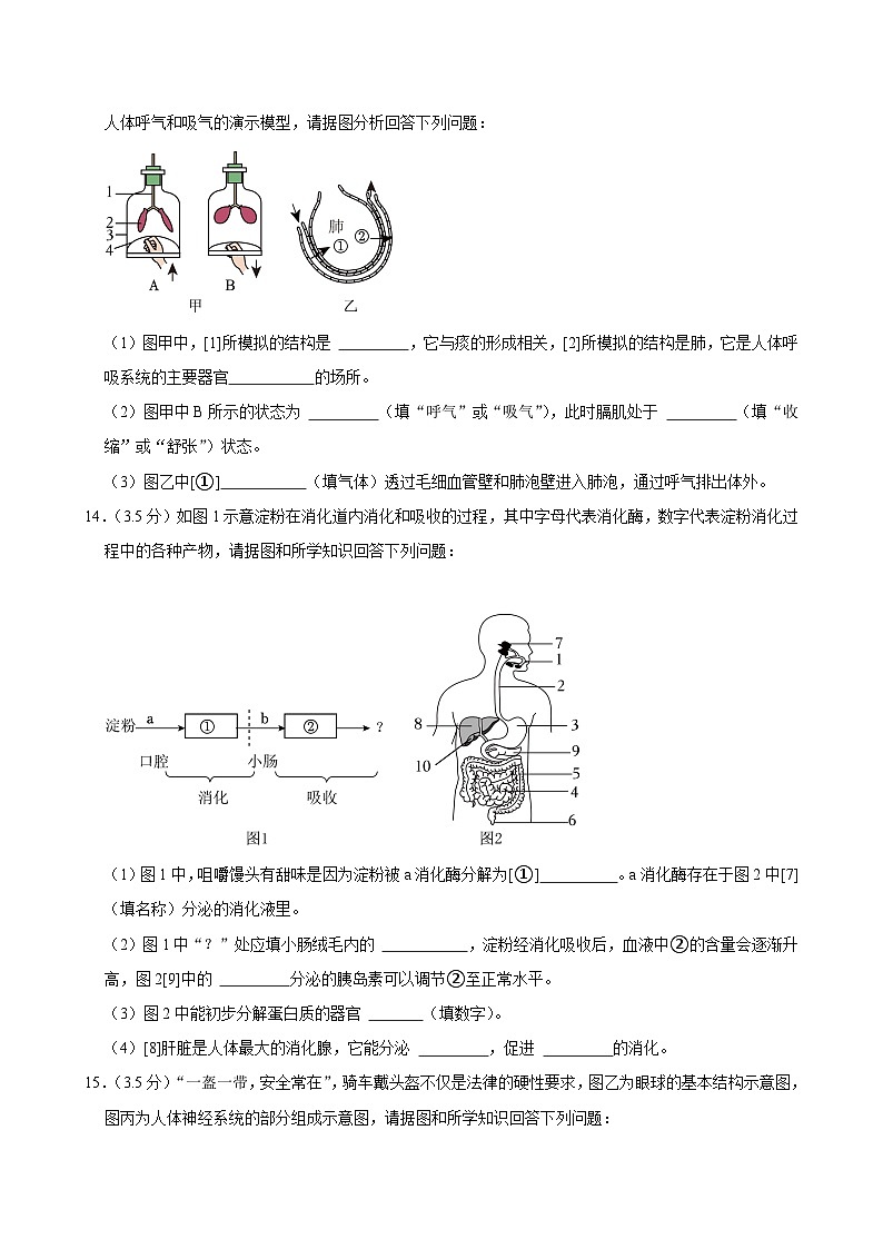 辽宁省大连市中山区2023-2024学年七年级下学期期末生物试卷第3页