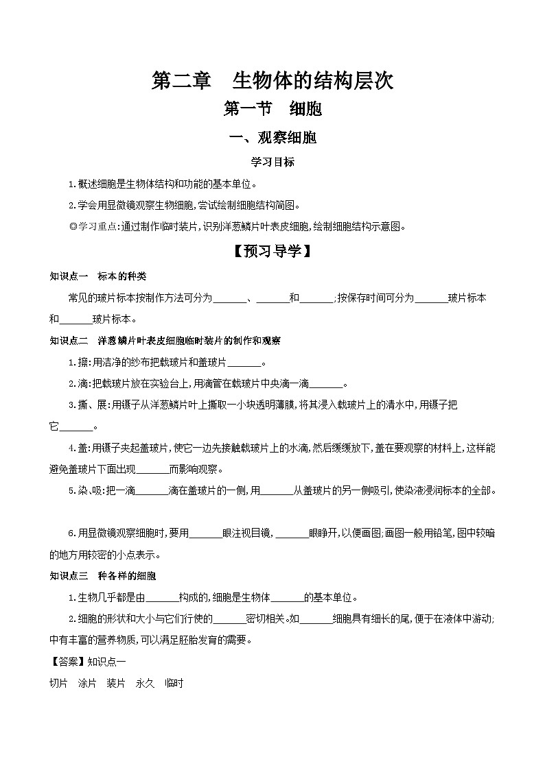 冀少版生物七年级上册 1.2.1 细胞（一、观察细胞） 学案（含答案）01