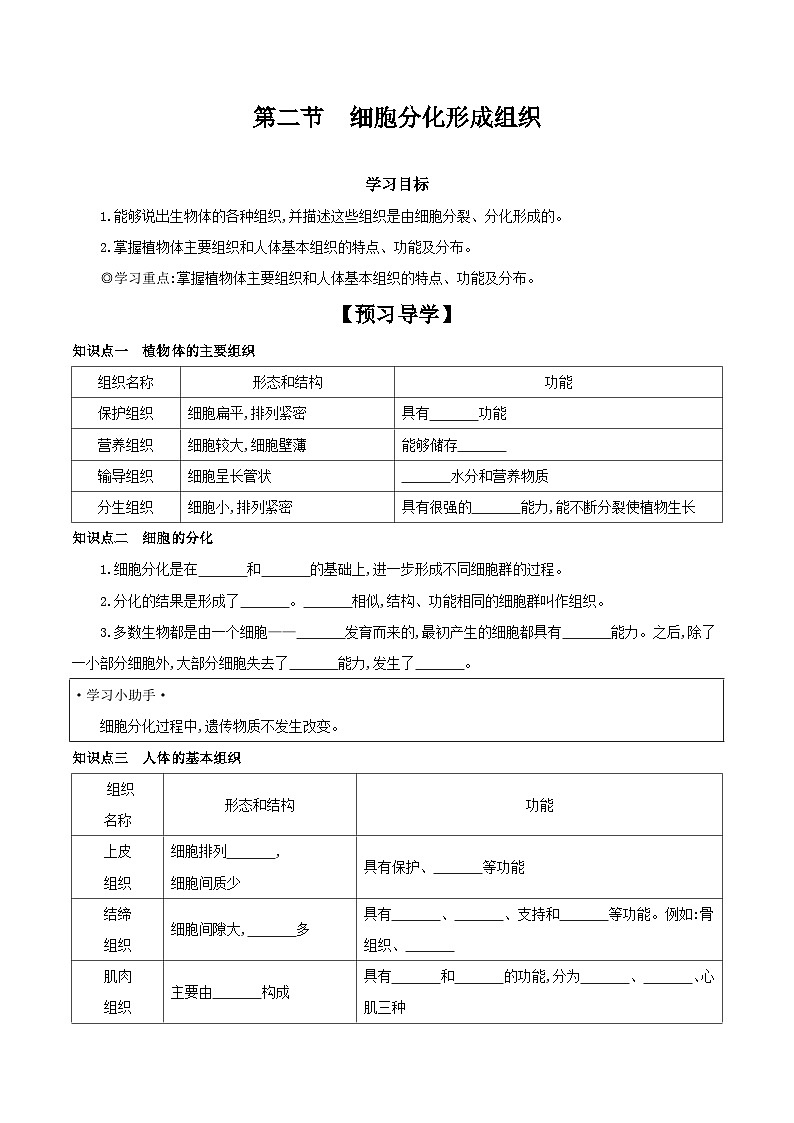 冀少版生物七年级上册 1.2.2 细胞分化形成组织 学案 （含答案）01