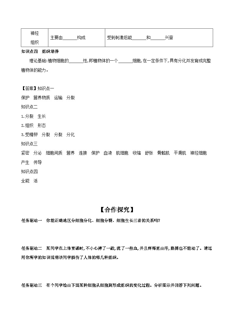 冀少版生物七年级上册 1.2.2 细胞分化形成组织 学案 （含答案）02
