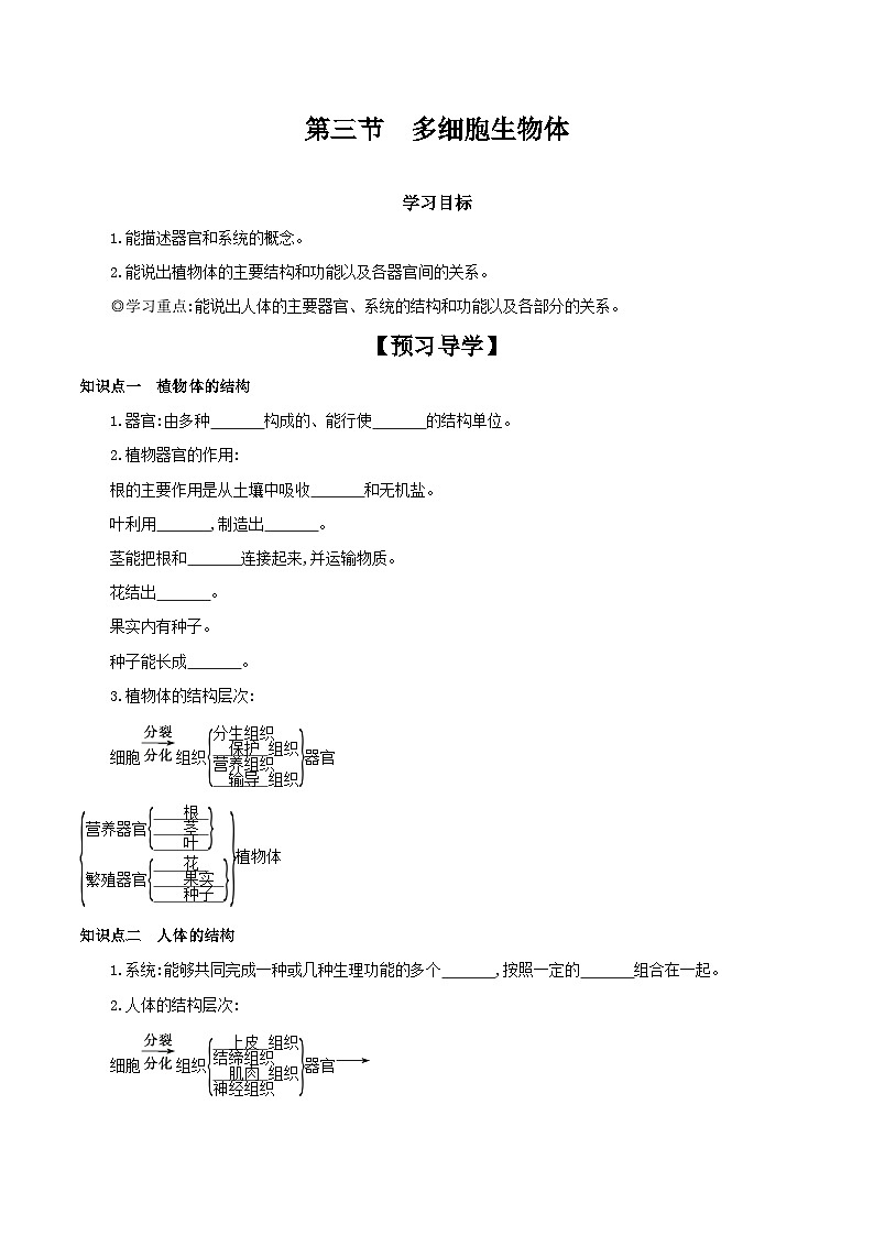 冀少版生物七年级上册 1.2.3 多细胞生物体 学案 （含答案）01