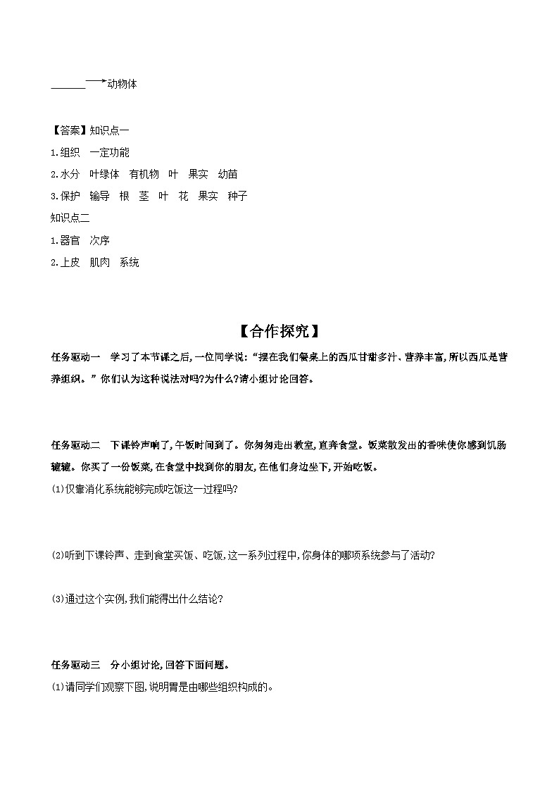 冀少版生物七年级上册 1.2.3 多细胞生物体 学案 （含答案）02