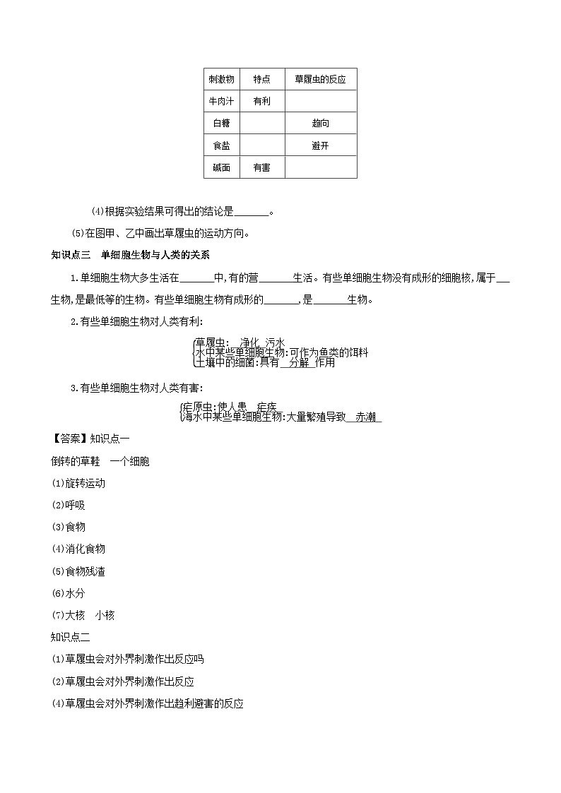 冀少版生物七年级上册 1.2.4 单细胞生物体 学案 （含答案）02