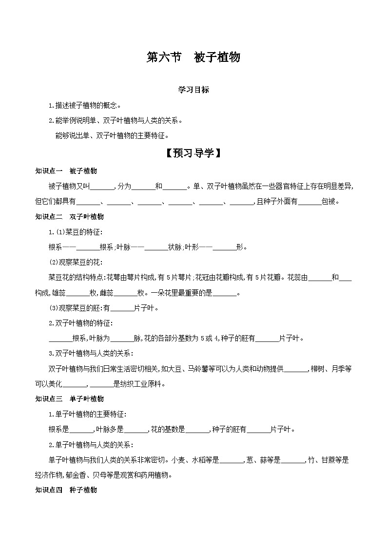 冀少版生物七年级上册 1.3.6 被子植物 学案（含答案）01