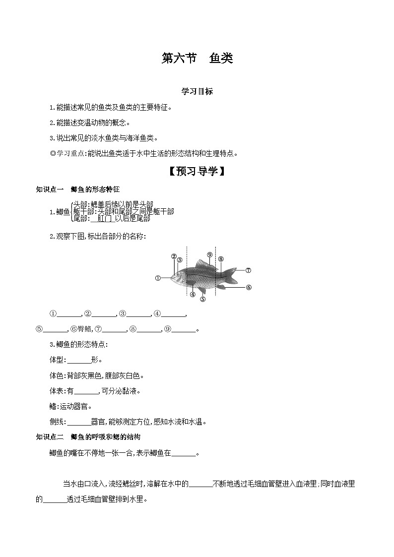 冀少版生物七年级上册 1.4.6 鱼类 学案（含答案）01