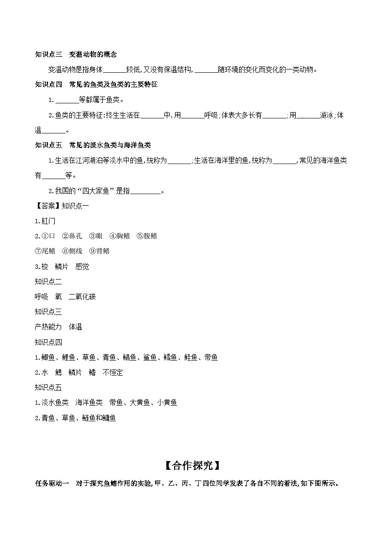 冀少版生物七年级上册 1.4.6 鱼类 学案（含答案）02
