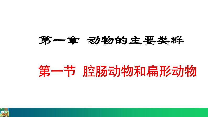 5.1.1  腔肠动物和扁形动物（课件）-2024--2025学年人教版生物八年级上册第1页