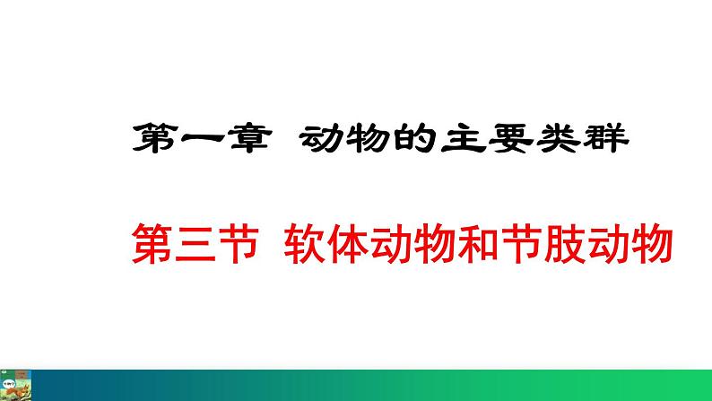 5.1.3  软体动物和节肢动物（课件）-2024--2025学年人教版生物八年级上册01