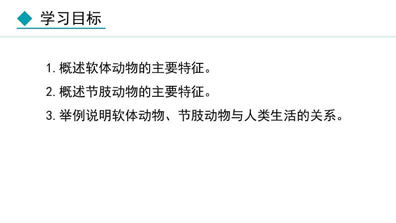 5.1.3  软体动物和节肢动物（课件）-2024--2025学年人教版生物八年级上册02